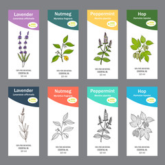 Wall Mural - Set of essential oil labels