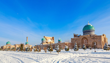 Wall Mural - Snow and spruces with blue domes and minarets of muslim Hazrati