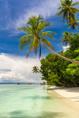 Wall Mural - Beautiful beach. View of paradise tropical beach with coconut palms