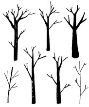 Naked Trees Silhouettes Set. Hand Drawn Isolated Illustrations. Nature Drawing.