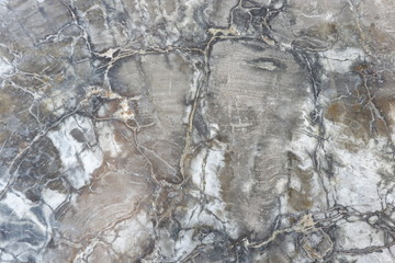 textures from fossilized wood