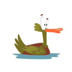 Poster - Crazy Male Mallard Duck Swimming, Funny Bird Cartoon Character Vector Illustration