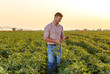 © Zoran Zeremski - Young farmer standing in filed examining soybean corp at sunset..