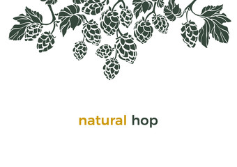 Vector template. Natural hop. Art border