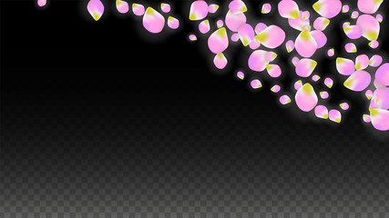 Vector Realistic Pink Petals Falling on Transparent Background.  Spring Romantic Flowers Illustration. Flying Petals. Sakura Spa Design. Blossom Confetti.