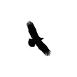 Eagle silhouette sign