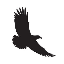 Black Eagle Silhouette On A White Background. Vector Illustration