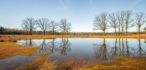 Sticker - Trees with bare branches reflected in the mirror smooth water of a mere in the landscape of the Galderse Heide. The Galderse Heide is part of the Ecological Main Structure in the Netherlands.