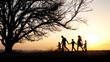 © alex_marina - Silhouettes of happy family walking together in the meadow during sunset