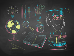 Wall Mural - chalk drawn illustrations of education items