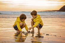 Two Beautiful Children, Boy Brothers, Playing On The Beach With Sand And Running In The Water On Sunset