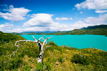 Sticker - Lake Pehoe in Torres del Paine National Park - Chile