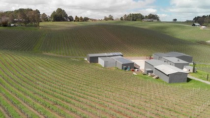 Sticker - Beautiful vineyards of South Australia, aerial view