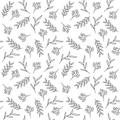 Wall Mural - Floral seamless pattern. Vector hand drawn herbs, berries.