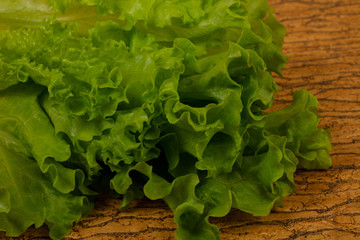 Green salad leaves