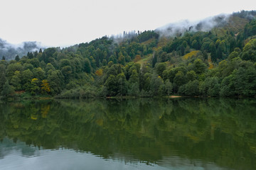 lake and misty forest in mountains in a rainy day