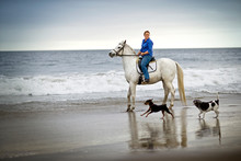 Mid-adult Woman Riding A Horse With Two Dogs Running Along A Beach.