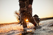 © Erickson Stock - Black retriever carrying a dead duck in his mouth while out duck hunting with his owner at a lake.