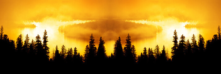 Forrest in Autumn with Mist and Sunlight