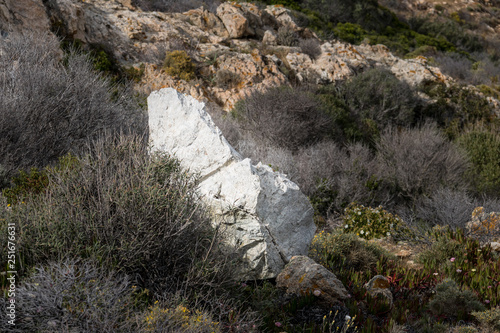 Cuadros en Lienzo Rocher dans le maquis - Pointe de la Revellata