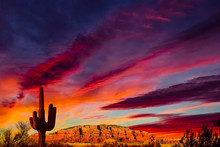 Arizona Sunset A Sky With All The Colors Of The Rainbow Cast Glowing Light On The Coconino National Forest Cathedral Mountains Are The Backdrop For A Caguaro Cactus Un Silhouette