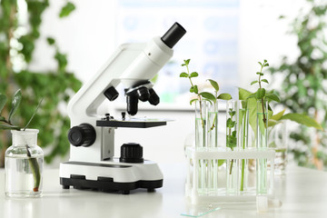 Glassware with plants and microscope on table against blurred background. Biological chemistry