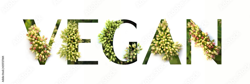 Cut out word VEGAN with growing plant inside. Organic production concept - obrazy, fototapety, plakaty 
