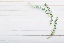 Branches Of Eucalyptus On White Wooden Background