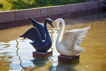 Sculptures Of The White And Black Swan In City Park Of Almaty. Kazakhstan.