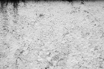 Wall Mural - grunge cement wall texture