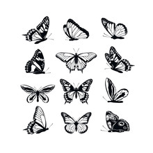Set Butterflies Collection Spring And Summer Black Silhouettes On White Background. Icons Different Shapes Wings, For Illustration, Ornaments, Tattoo, Decorative Design Elements. Vector Illustration.