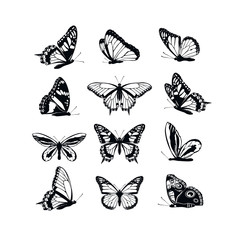 Set butterflies collection spring and summer black silhouettes on white background. Icons different shapes wings, for illustration, ornaments, tattoo, decorative design elements. Vector illustration.