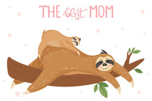 Greeting Card With Cute Sloths. Mother Sloth And Baby Sleeping On Branch. Happy Mother's Day Cards. Vector Illustration.