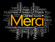 © dizain - Merci (Thank You in French) word cloud in different languages