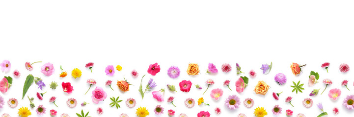 Wall Mural - Flowers banner flat lay. 