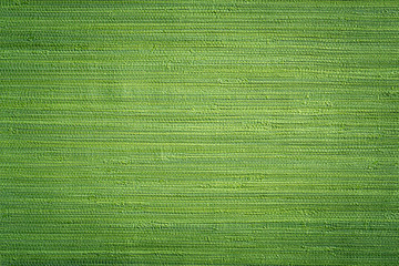 green textile wallpaper texture close up