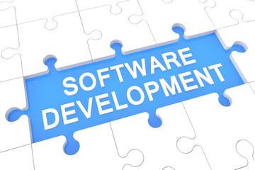 Software Development