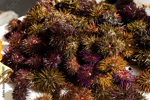 Erizos De Mar En Venta En El Mercado Buy This Stock Photo - 