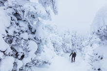 A Hiker Uses Snowshoes To Climb Up To The Summit Of A Snowy Peak In The Northeastern United States.
