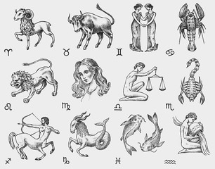 zodiac icons. astrology horoscope with signs. calendar template. collection outline animals. vintage
