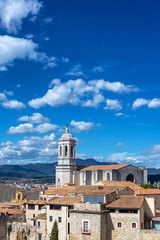 Wall Mural - Vertical View of Girona Cathedral