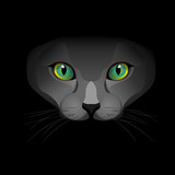 Fototapeta  - black cat with green eyes