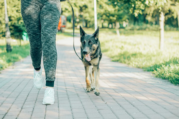 Wall Mural - woman jogging in the park with a German shepherd