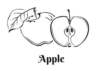 Apple icon isolated on white background. Vector food illustration in simple style. Black and white image.