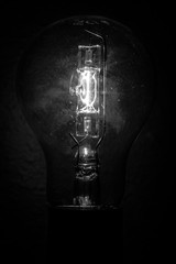 light bulb 2