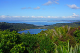 Fototapeta Na ścianę - Landscape view of the bay of Auckland from Titirangi, a suburb in the Waitakere Ward of the city of Auckland, northern New Zealand
