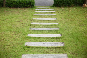 Wall Mural - concrete pathway pavement step on green grass front yard garden