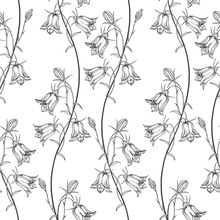 Seamless Vector Pattern With Flowers Bluebells. Black And White Nature Background.