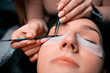© Светлана Наклейщиков - Eyelash extension procedure close up. Beautiful woman with long eyelashes in a beauty salon. Lifestyle. Beauty and fashion. Personal care.