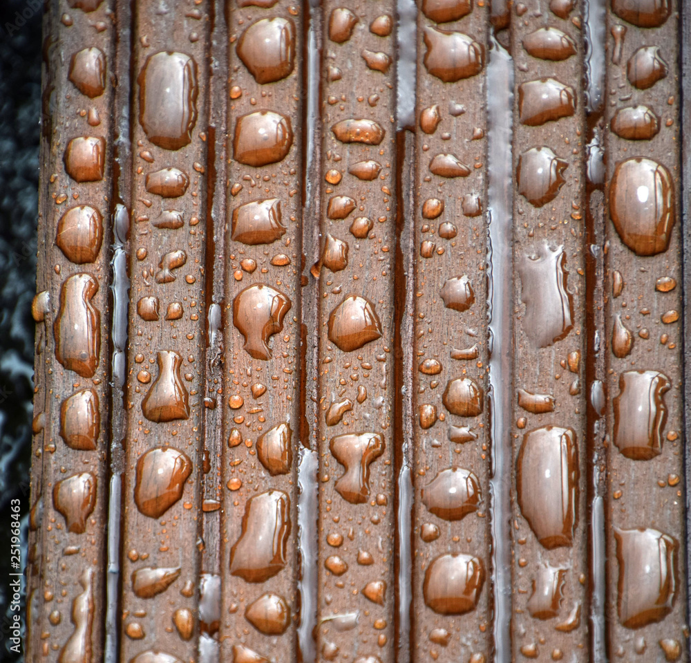 water drops on an impregnated wooden terrace after rain, impregnated ...